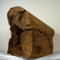 Wie ein hohler Stein, Nussbaummaser