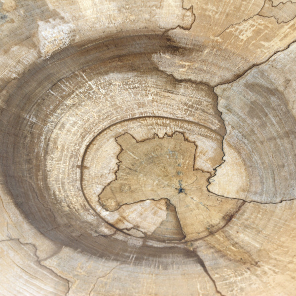 Holzstein Nussbaum STH 009
