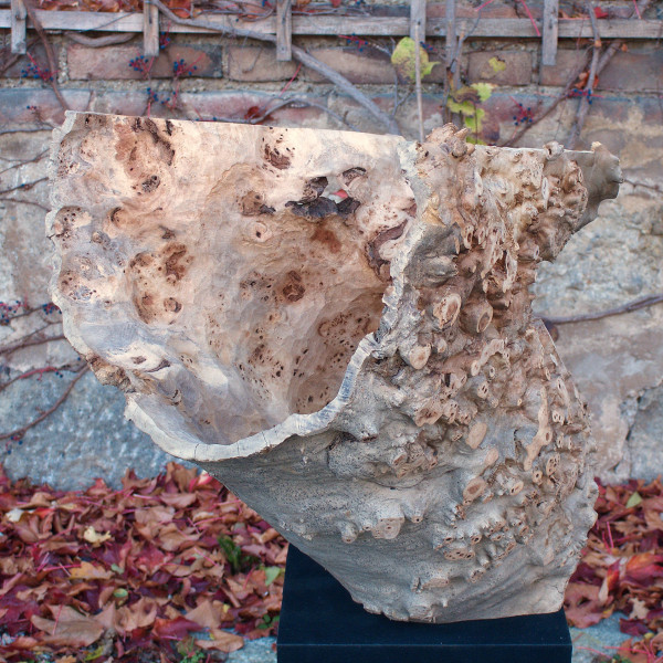 "Offenes Maul " Pappelmaser