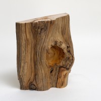 Baumabschnitt mit Aushöhlung aus Alaska Zypresse