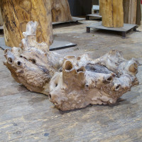 ausgehöhltes Holzobjekt aus Platanenmaser